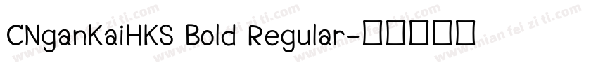 CNganKaiHKS Bold Regular字体转换